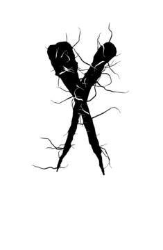 Glyph 76