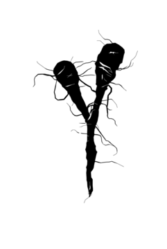 Glyph 77