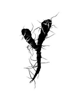 Glyph 79