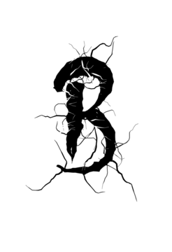 Glyph 8