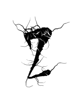 Glyph 80