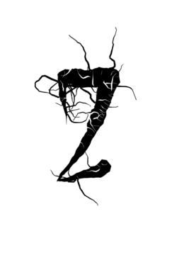 Glyph 81