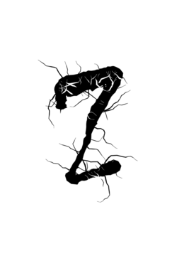 Glyph 82