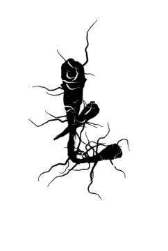 Glyph 85