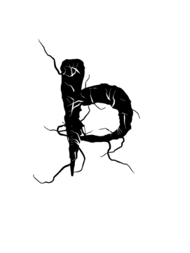 Glyph 88