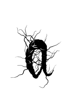 Glyph 89