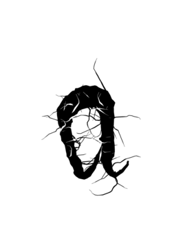 Glyph 91
