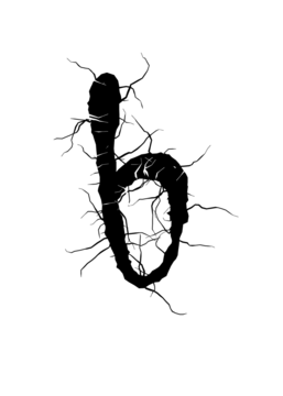 Glyph 94