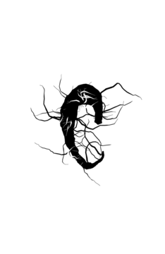 Glyph 95