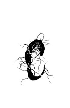 Glyph 97