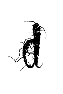 Glyph 99