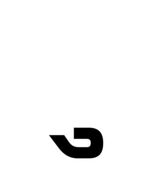 Glyph 21