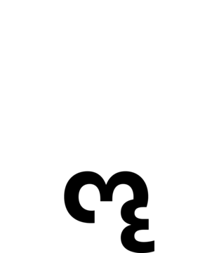 Glyph 29