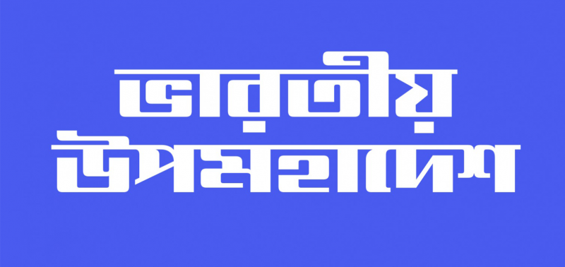 DirectorBengali03
